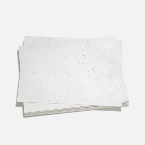 Green Field Blank Craft Seed Paper – Wildflower Tree Free Sustainable Plantable Art Paper for Wedding, Birthday, Bridal Shower, Life Celebration Favors, 8.5 x 11 in (Natural White, 10 Sheets)