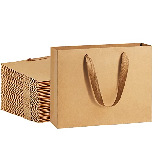 BagDream Paper Bags 10.6x3.1x8.3 25Pcs Gift Bags Heavy Duty Kraft Brown Gift Paper Bags with Handles Soft Cloth, Party Favor Bags, Shopping Bags, Retail Merchandise Bags, Wedding Party Gift Bags