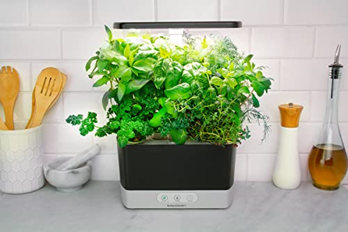 AeroGarden Harvest - Indoor Garden with LED Grow Light, Black