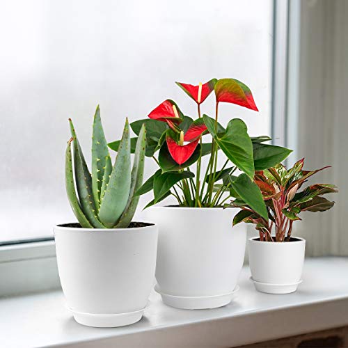 Plastic Planter, HOMENOTE 7/6/5.5/4.8/4.5 Inch Flower Pot Indoor Modern Decorative Plastic Pots for Plants with Drainage Hole and Tray for All House Plants, Succulents, Flowers, and Cactus, White