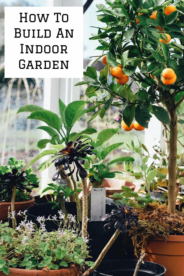 5 Ways You Can Build a Garden Inside Your House