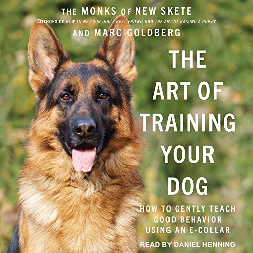 The Art of Training Your Dog: How to Gently Teach Good Behavior Using an E-Collar