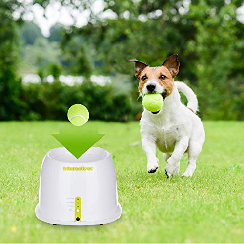 All for Paws Interactive Dog Automatic Ball Launcher, Tennis Ball Throwing Machine for Small and Medium Size Dogs, 3 Balls Included, Mini Version