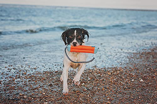 Chuckit! Amphibious Bumper Fetch and Float Toy ,Assorted Colors