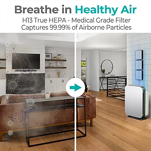 Alen 75i Air Purifier, Quiet Air Flow for Extra-Large Rooms, 1300 SqFt, Air Cleaner for Allergens, Dust, Mold with Long Filter Life