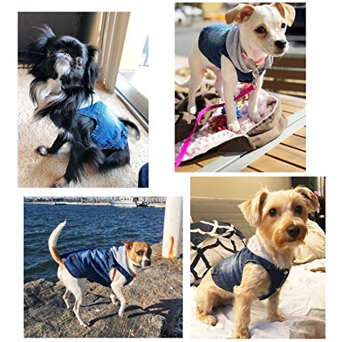 SILD Pet Clothes Dog Jeans Jacket Cool Blue Denim Coat Small Medium Dogs Lapel Vests Classic Hoodies Puppy Blue Vintage Washed Clothes (Grey,M)