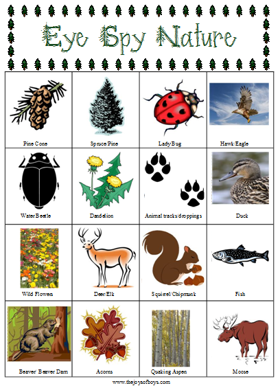 Free Printable: Eye-Spy Nature Scavenger Hunt 