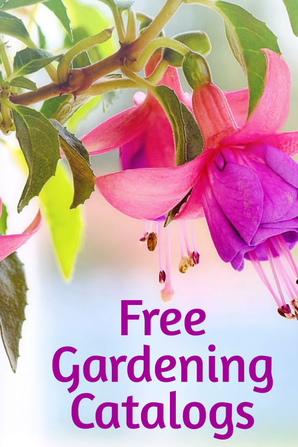 Free Gardening Catalogs