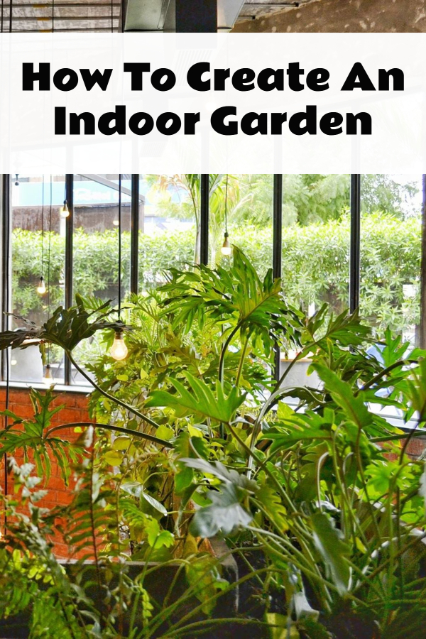 How To Create An Indoor Garden