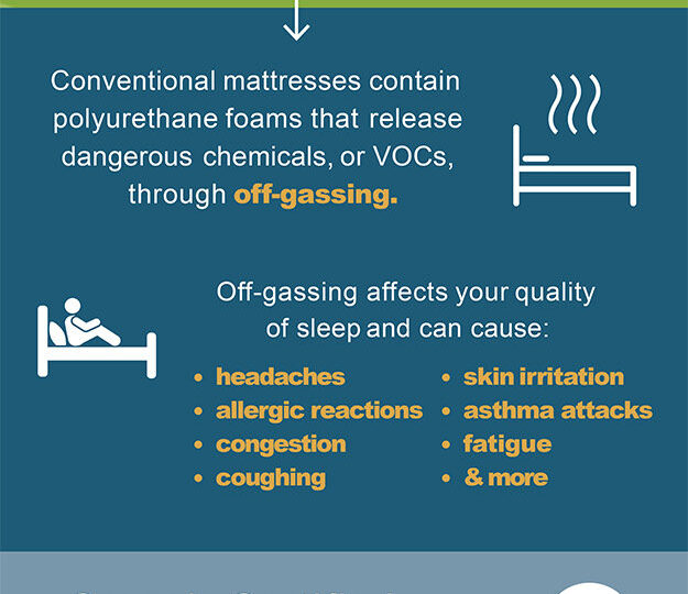 Organic Mattress Infographic