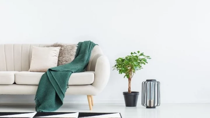 Upgrade Your Lounge Life With A New Sofa