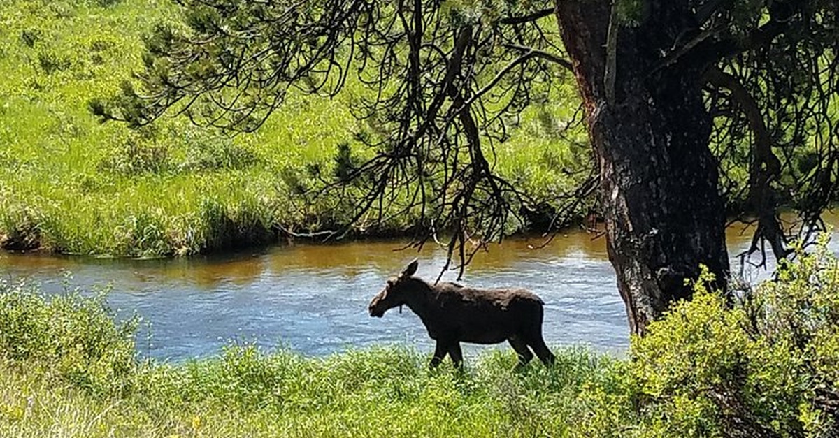 The Colorado Sightseer