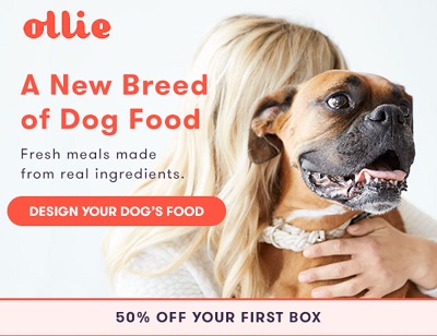 ollie dog food