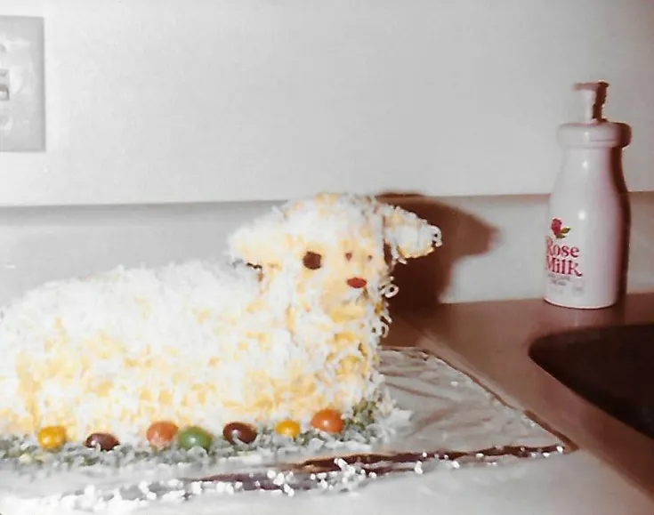 Lamb Cake - Easter 1983